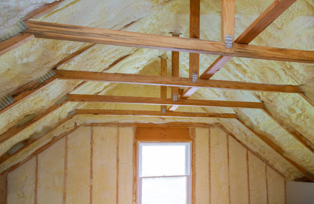 Best Insulation Removal  in Horseheads North, NY